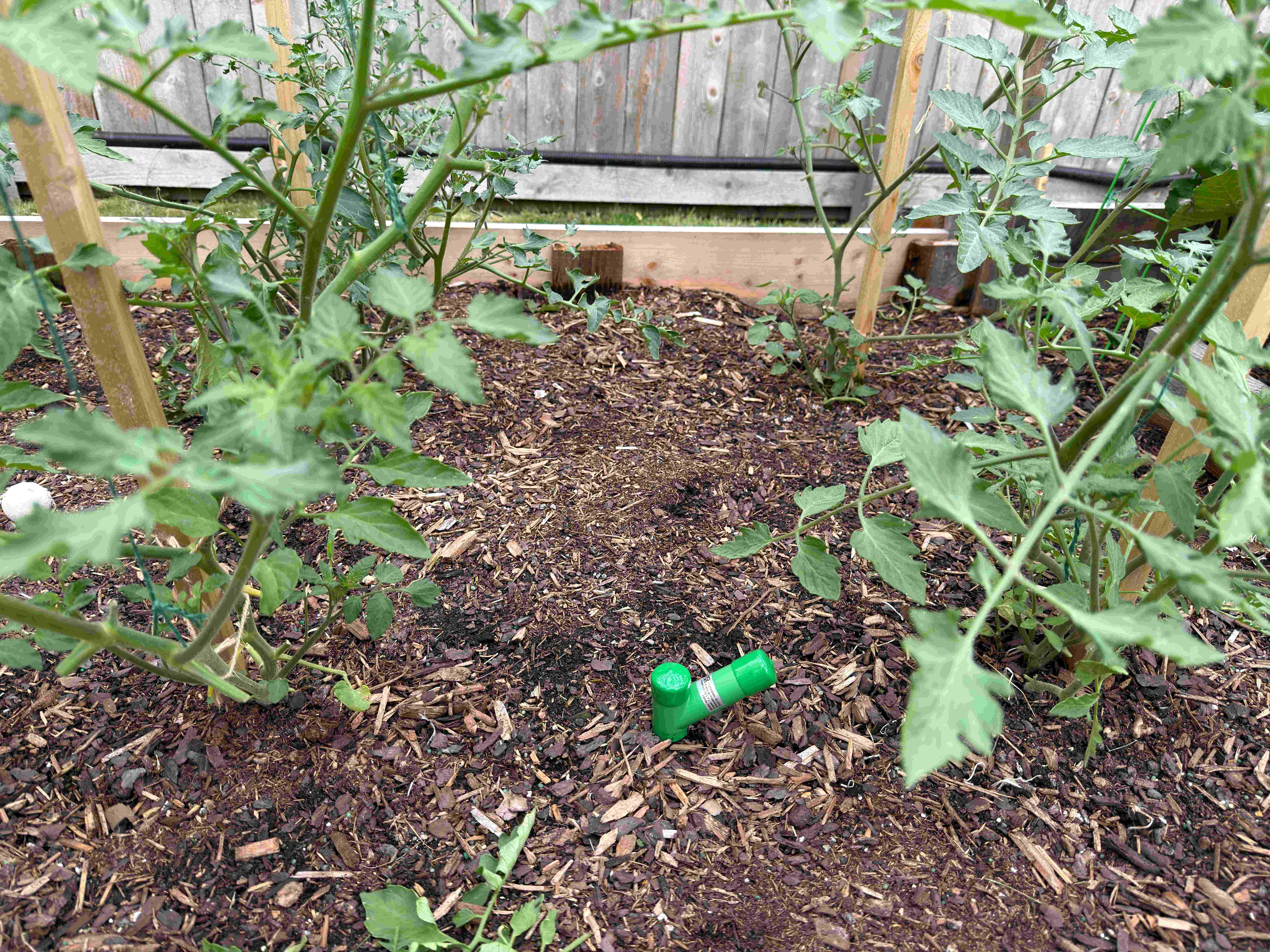 WH51 soil moisture probe staked into Bed 1